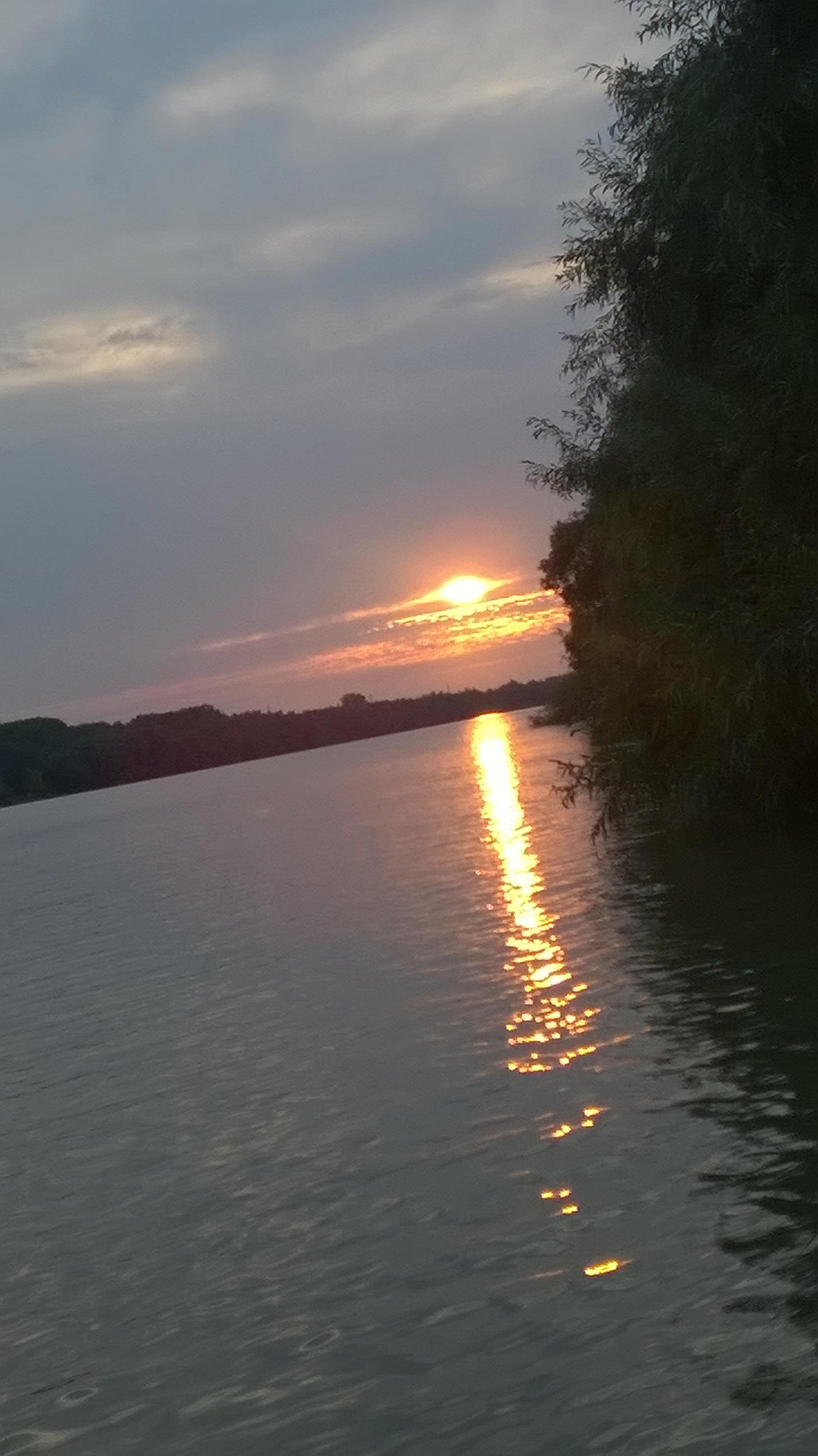 delta - wp20151005181659pro.jpg